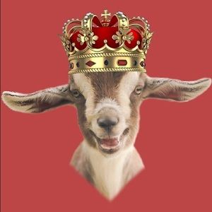 Meet your Posher, Ben